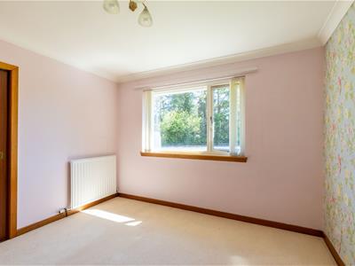 Picture 26